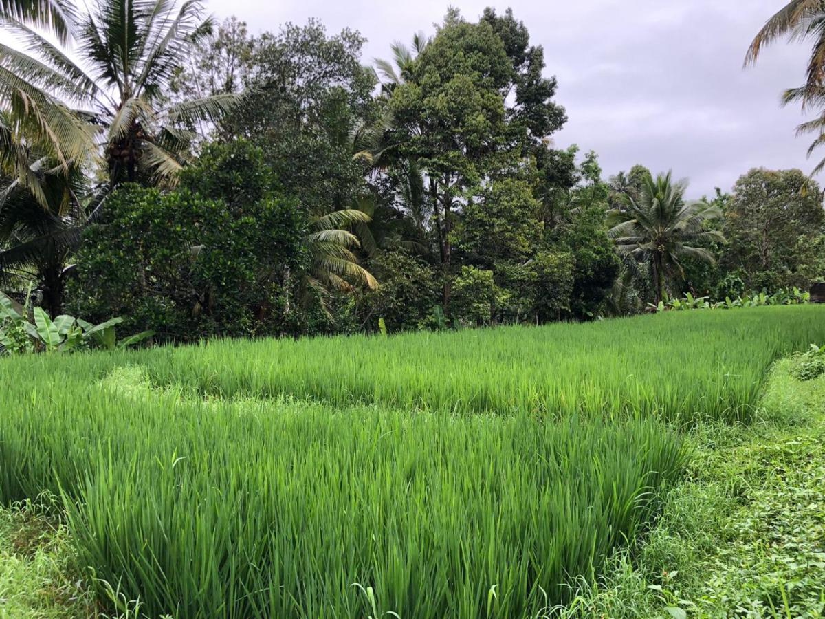 Titian Dewi Villa Ubud - 3 Bedroom Private Villa Close To Cretya Day Club Tegallalang  Exterior photo